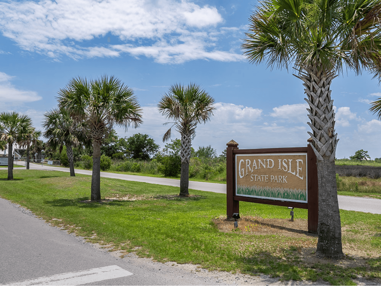 Sign for Grand Isle State Park beside a road lined with palm trees under a blue sky.