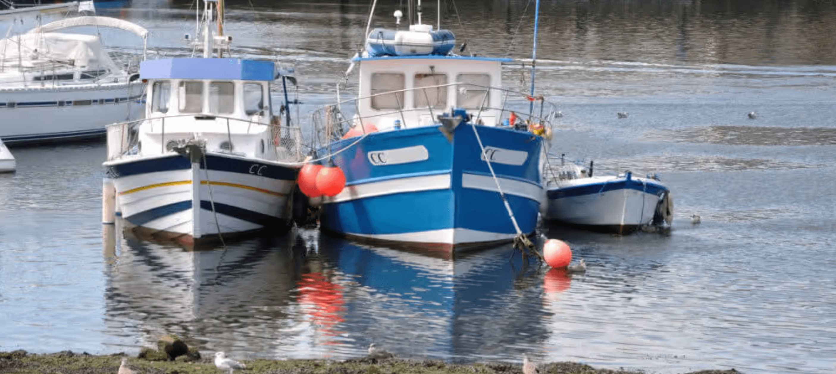 Three boats moored together on calm water, with a few buoys nearby. Three boats moored together on calm water, with a few buoys nearby.