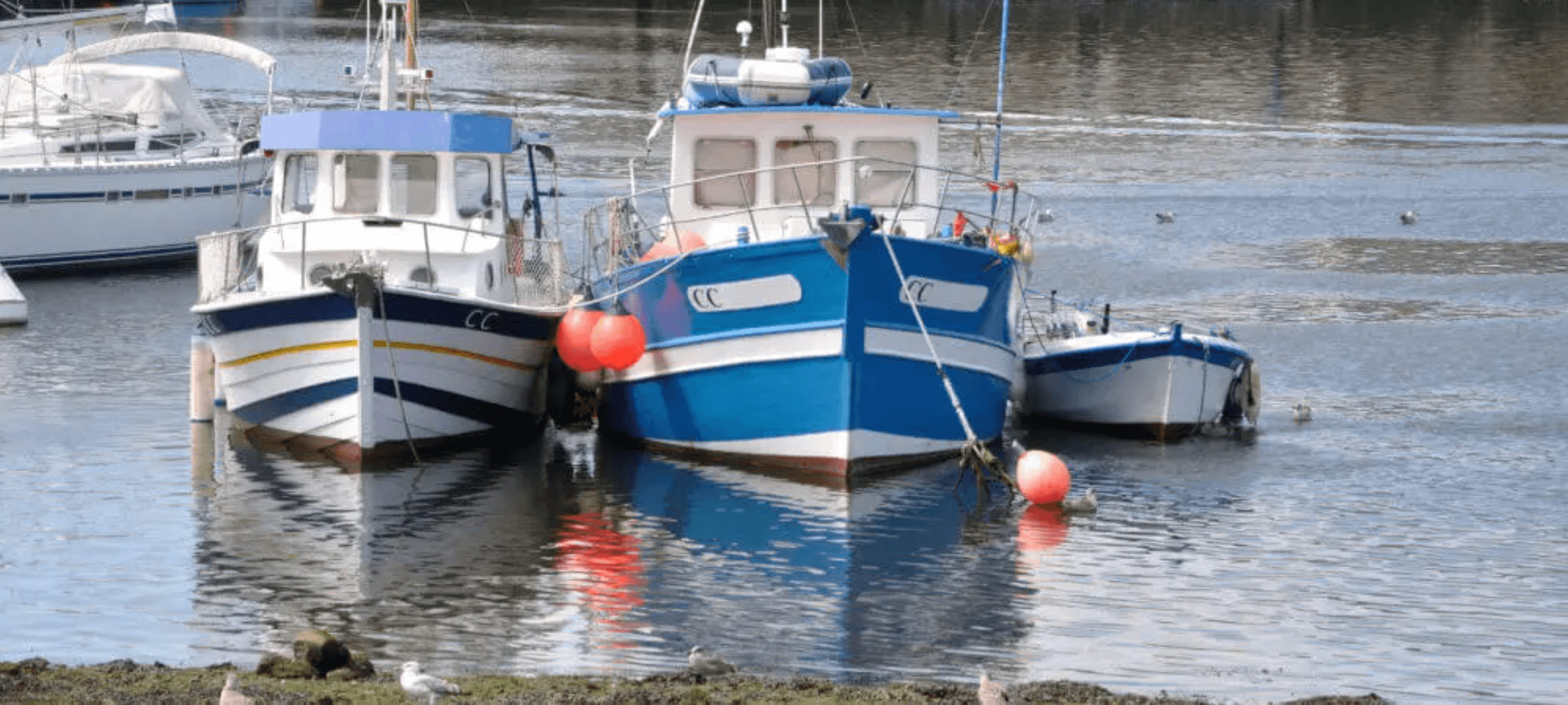 Three boats docked in calm water with red buoys. Three boats docked in calm water with red buoys.